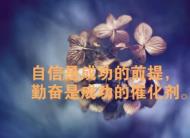 6个微信营销的错误做法，不求质量，疯狂刷屏