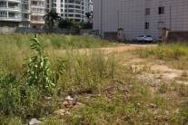 微信公众号杂草丛生，亟待锄草施肥