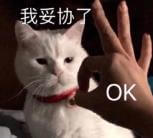 微信对营销的态度：世界是斗争出来的，也是妥协出来的