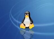 Linux系统中如何打开记事本txt文件