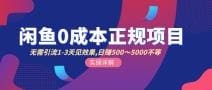 闲鱼0成本无货源正规项目，无需引流1-3天见效果，日入500-5000（价值6980）