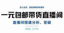 一元包邮带货直播间搭建，两节课三小时，搭建、分析、答疑