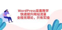 WordPress采集教学，快速提升网站流量：全程无理论，只有实操