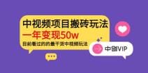 《老吴·中视频项目搬砖玩法，一年变现50w》目前看过的的最干货中视频玩法