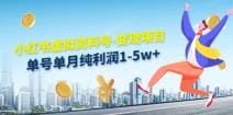 小红书虚拟资料号-变现项目：单号单月纯利润1-5w十实操玩法分享