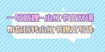 一写就爆-小红书文案课：带你玩转小红收爆文写作（45节课）