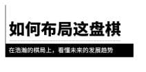某公众号付费文章《如何布局这盘棋》在浩瀚的棋局上，看懂未来的发展趋势