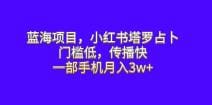 蓝海项目，小红书塔罗占卜，门槛低，传播快，一部手机月入3w