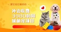 同城萌宠项目，用最冷门的玩法冲击最热门的市场（教程 素材）