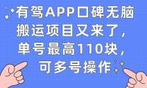 有驾APP口碑无脑搬运项目又来了，单号最高110块，可多号操作