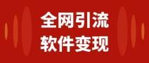 全网引流，软件虚拟资源变现项目，日入1000＋