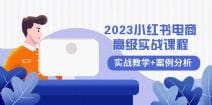 2023小红书-电商高级实战课程，实战教学 案例分析（38节课）