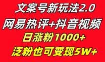 文案号新玩法 网易热评 抖音文案 一天涨粉1000  多种变现模式 泛粉也可变现