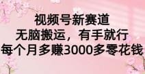 视频号新赛道，无脑搬运，有手就行，每个月多赚3000多零花钱