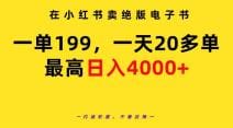 在小红书卖绝版电子书，一单199 一天最多搞20多单，最高日入4000十教程十资料