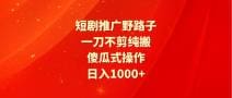 短剧推广野路子，一刀不剪纯搬运，傻瓜式操作，日入1000十