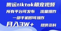 搬运Tiktok萌宠类视频，一部手机即可。所有短视频平台均可操作，月入3W十