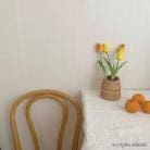 零门槛副业大放送！5个靠谱选择，助你轻松赚取零花钱