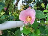 90后宝妈的多元兼职探索：尝试与挑战并存的赚钱之旅