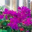 全职妈妈8年经验分享！在家也能兼职挣钱？揭秘实用方法，让你轻松上手！