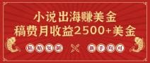 小说出海赚美金，稿费月收益2500十美金，仅需chatgpt粘贴复制，新手也能玩转