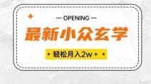 最新小众玄学项目，保底月入2W＋ 无门槛高利润，小白也能轻松掌握