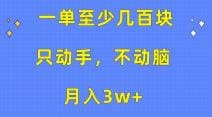 一单至少几百块，只动手不动脑，月入3w十。看完就能上手，保姆级教程