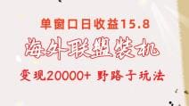 海外联盟装机 单窗口日收益15.8  变现20000十 野路子玩法