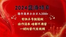 2024蓝海项目，网盘拉新，操作简单小白日入2000十，一键托管代发视频，