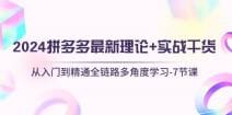 2024拼多多 最新理论十实战干货，从入门到精通全链路多角度学习-7节课