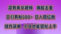 混剪美女视频，换脸去重，轻松过原创，日引色粉500十，操作简单，小白也